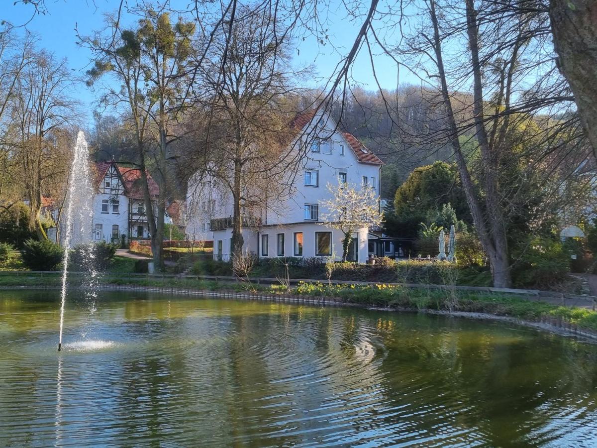 Parkhotel Am Schwanenteich Bad Sooden-Allendorf Buitenkant foto