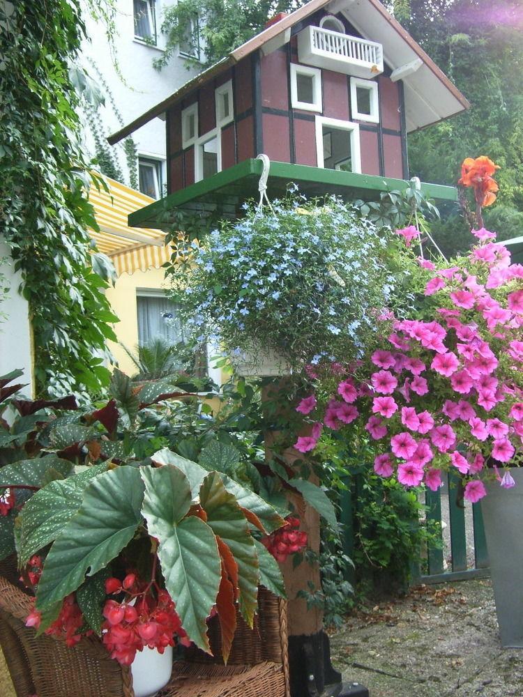 Parkhotel Am Schwanenteich Bad Sooden-Allendorf Buitenkant foto